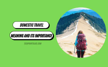 Understanding Domestic Travel Meaning and Its Importance