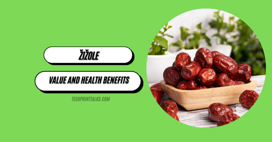 Žižole (Jujube Fruit): Nutritional Value and Health Benefits
