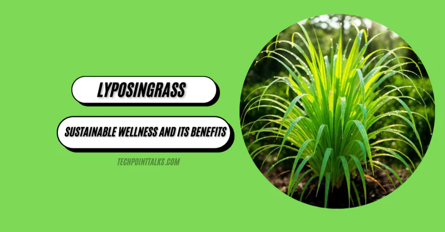 Discover Lyposingrass: Sustainable Wellness and its Benefits