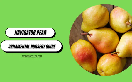 Navigator Pear: Ornamental Nursery Guide