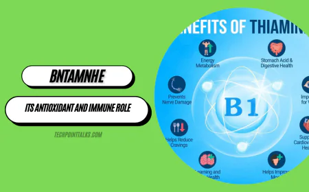 BNTAMNH E: Fat-Soluble Antioxidant Benefits & Uses