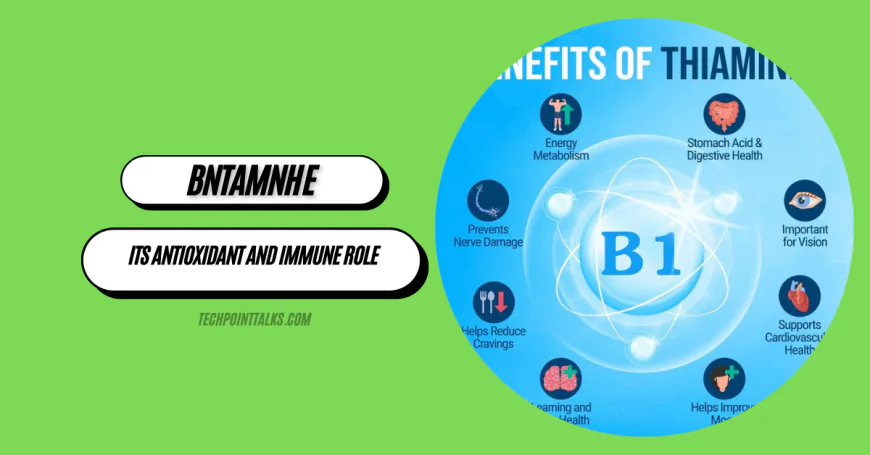 BNTAMNH E: Fat-Soluble Antioxidant Benefits & Uses