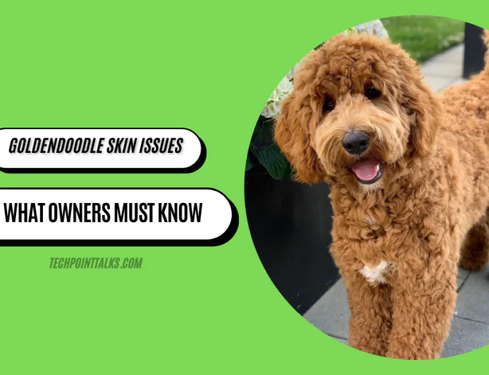 Goldendoodle Skin Issues: What Owners Must Know